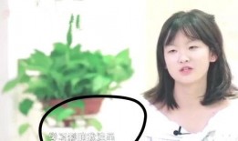 网上直播娱乐圈爆料可信吗,娱乐圈爆料可信度分析