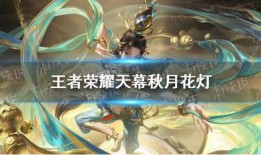 王者新天幕爆料视频下载,揭秘神秘爆料视频背后的精彩内容