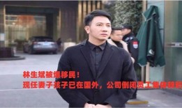 林生斌爆料小孩视频,孩子视频背后的惊人秘密